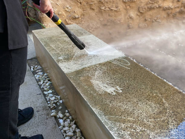 Best Exterior Home Cleaning  in Norwood Young America, MN
